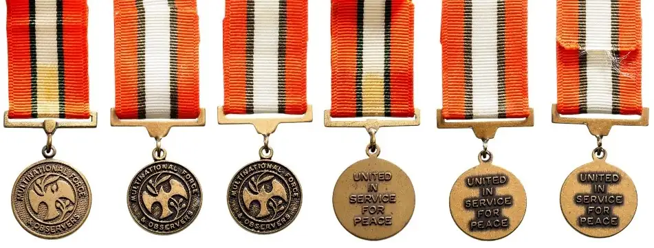 Multi-National Force Observer