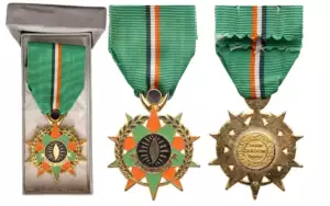 Medal of Cultural Merit