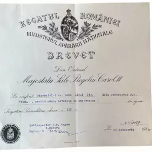 PREMILITARY TRAINING BADGE AWARDING DOCUMENT