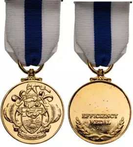 Efficiency Medal