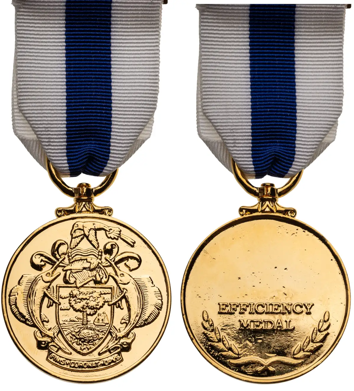 Efficiency Medal