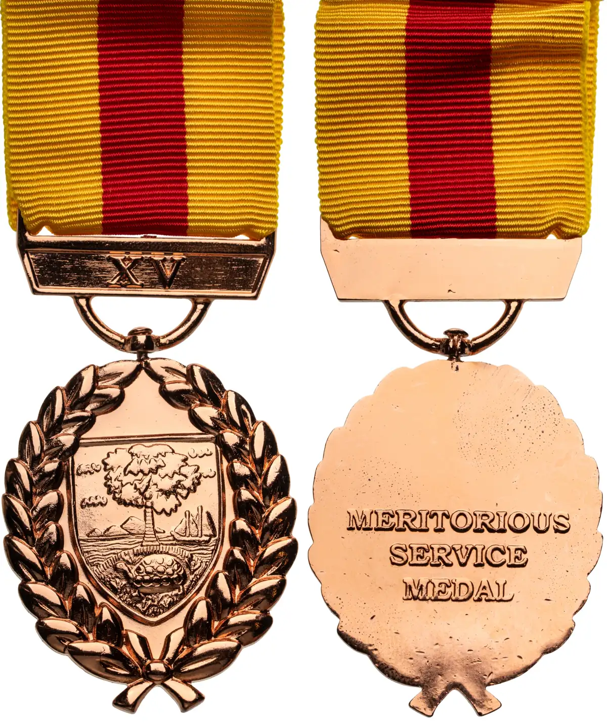 The Meritorious Service Medal