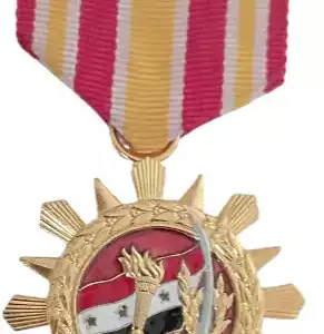 Army Long & Exemplary Service Medal