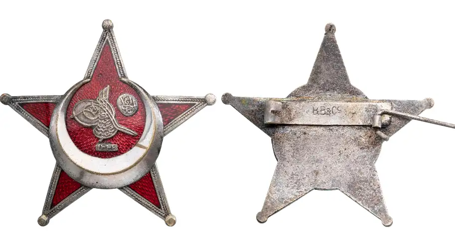 Gallipoli Star, 1915