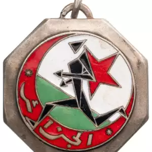 National Liberation Army Badge (ALN)