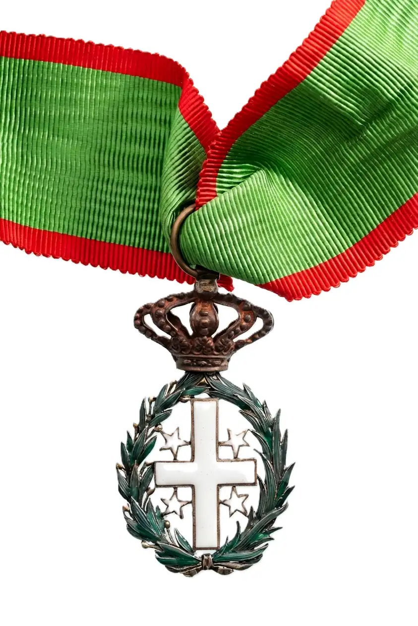 ORDER OF THE SOUTHERN CONSTELLATION