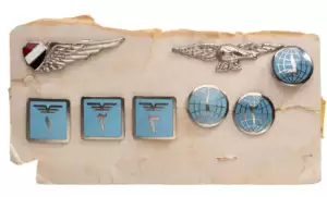 Pilot Wings and Badges