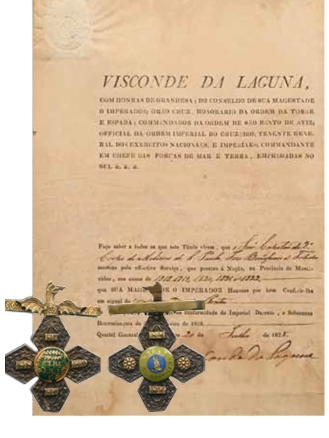 The Distinction and Campaign Medal of the Southern Army