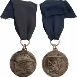 Honor Medal of the Department of Haute-Saone for Veterand of 1914-1918 WW.