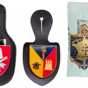 PERSONNAL GROUP OF AN OFFICER - UNIFORM PATCHES (5), REGIMENTAL BADGES (4) and PINS (3)