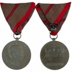 Wounded Medal, 1917